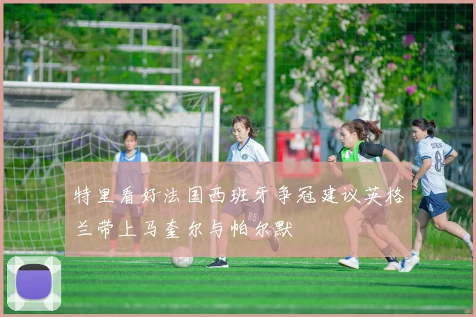 特里看好法国西班牙争冠建议英格兰带上马奎尔与帕尔默