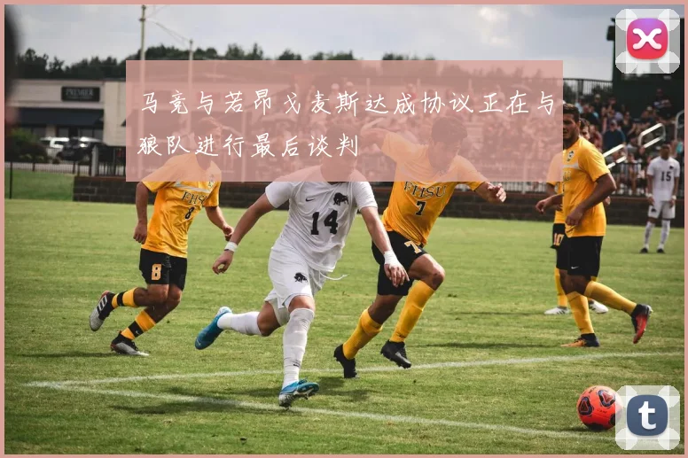 马竞与若昂戈麦斯达成协议正在与狼队进行最后谈判